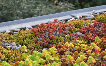 the cost of Thorpe St Andrew green roof installation