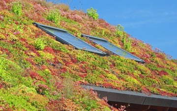Thorpe St Andrew living roof systems