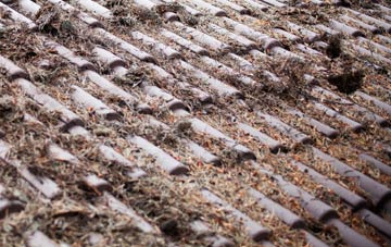 Thorpe St Andrew roof cleaning companies