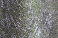 Thorpe St Andrew fibreglass roof work